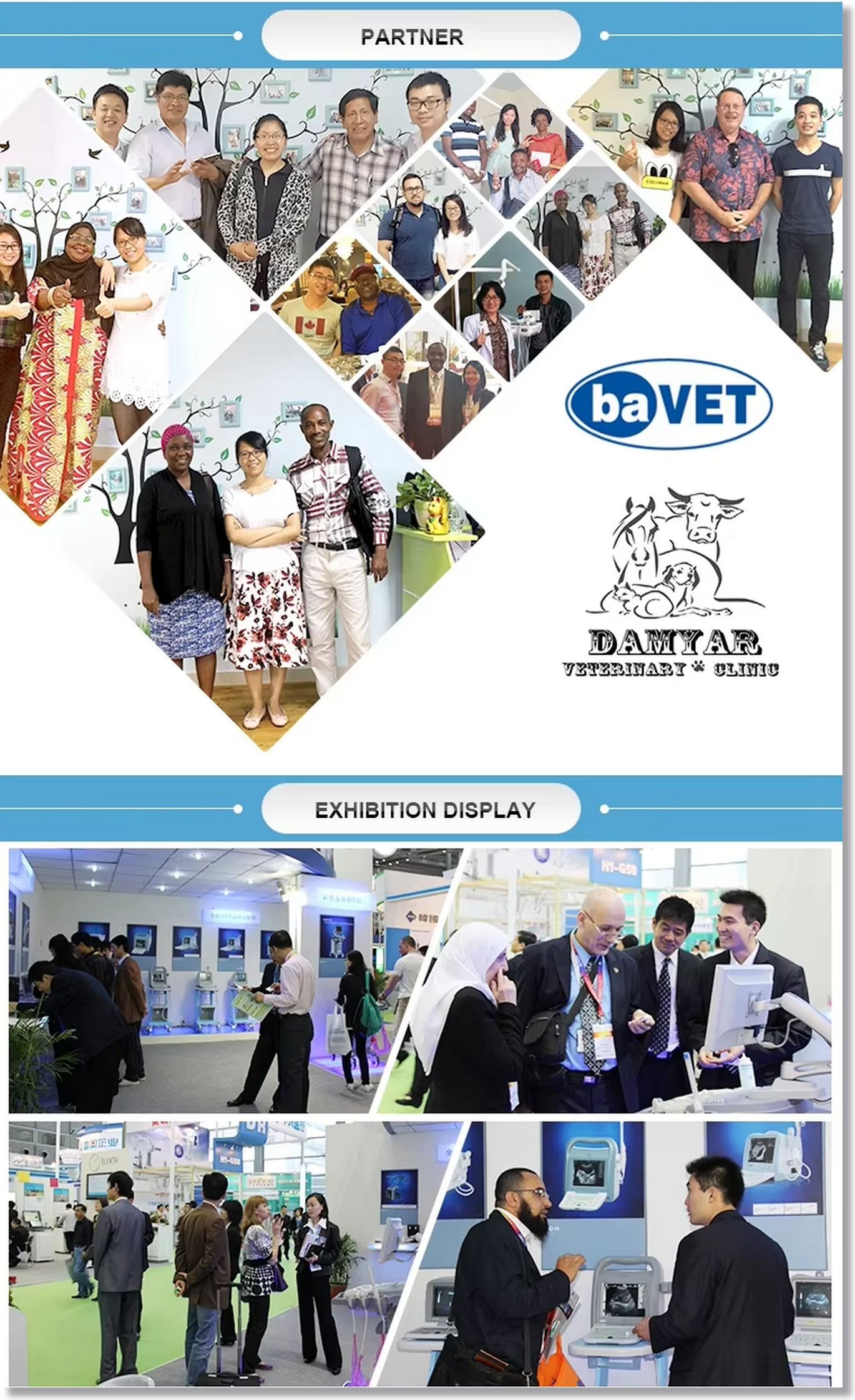 DWV-II Animal Operating Table