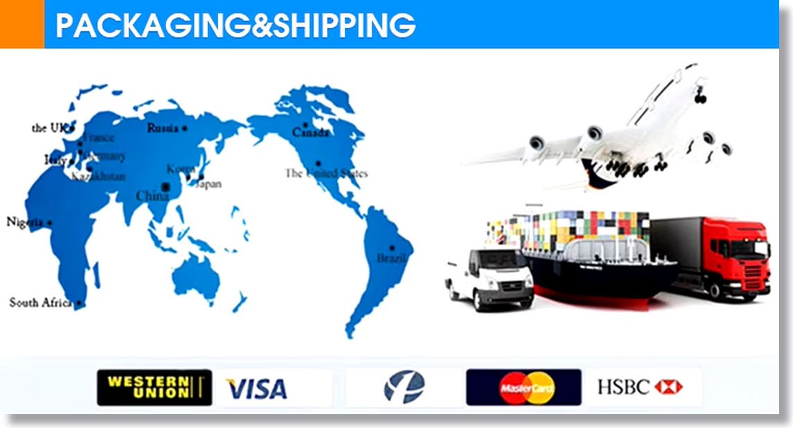 Hospital Radiograph Imaging Medical DR X Ray System